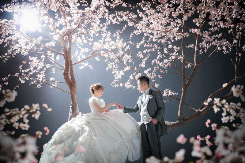 桜×yumikatsuraドレス