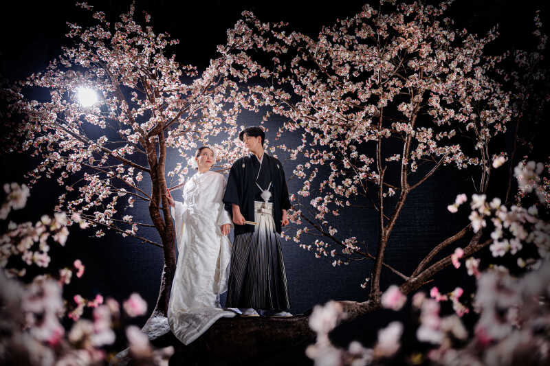 「満開の誓い」桜の木の上で見つめ合うおふたり
