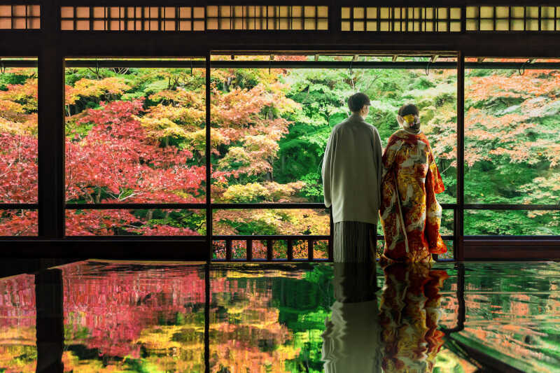 【瑠璃光院】バックショット