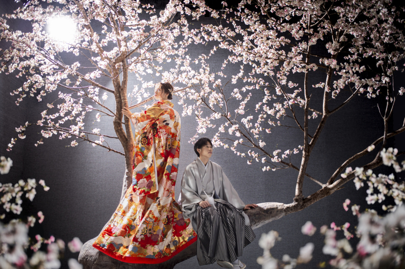 満開の桜×和装 映えショット