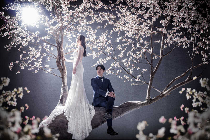 続いてはホワイトドレス×桜でカッコよく!