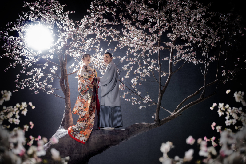 桜の木の上で紡ぐ物語