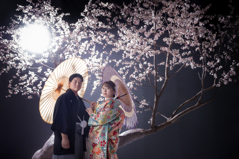桜と番傘の和装ショット