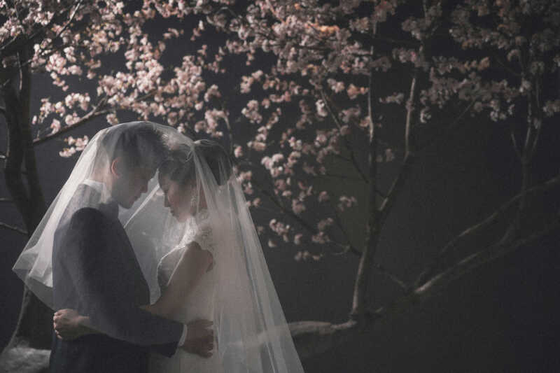 【桜】ハグ×ベール纏いショット