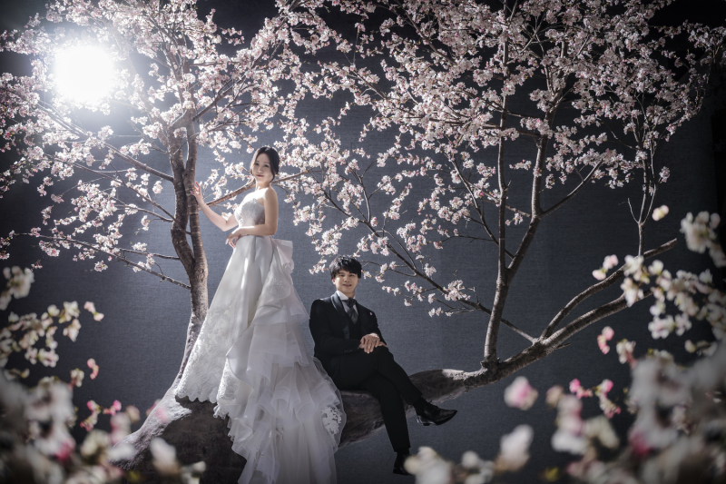 桜|ドラマティックフォト