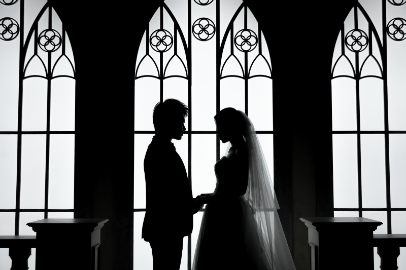 エレガントなシルエットショット*