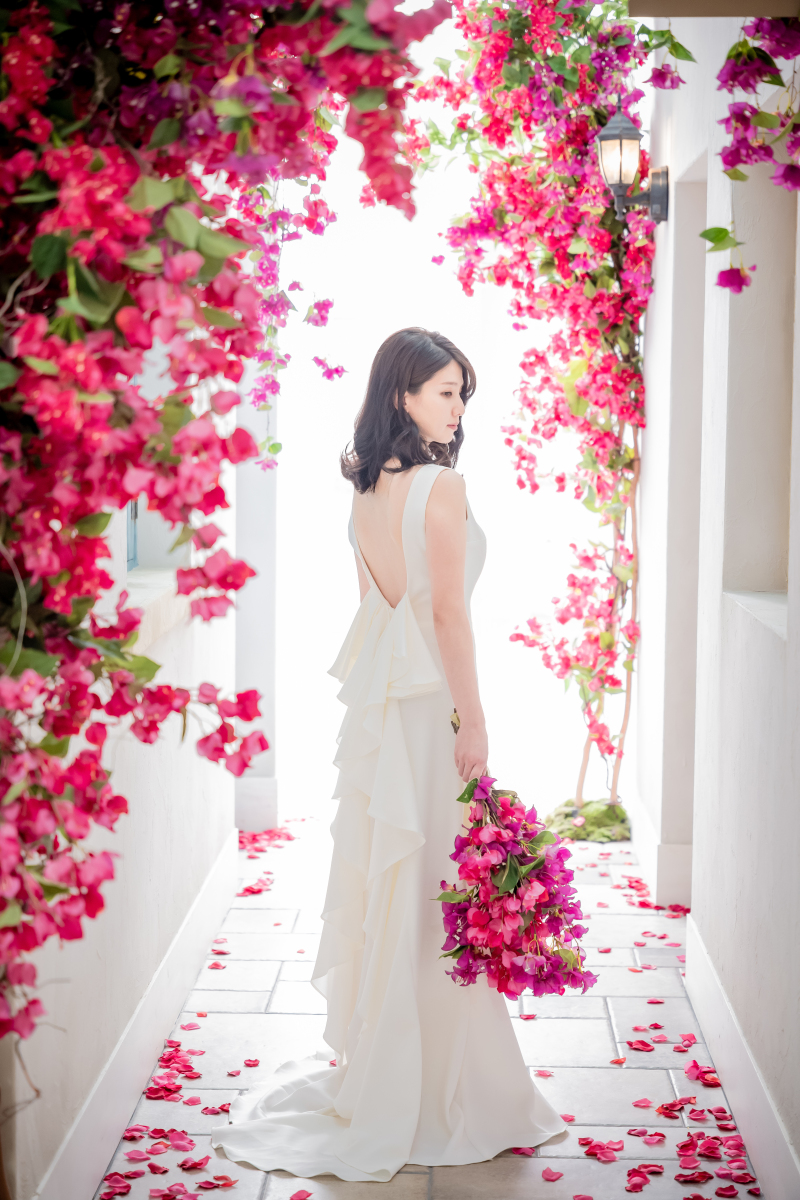 ブーゲンビリアに包まれるソロショット!