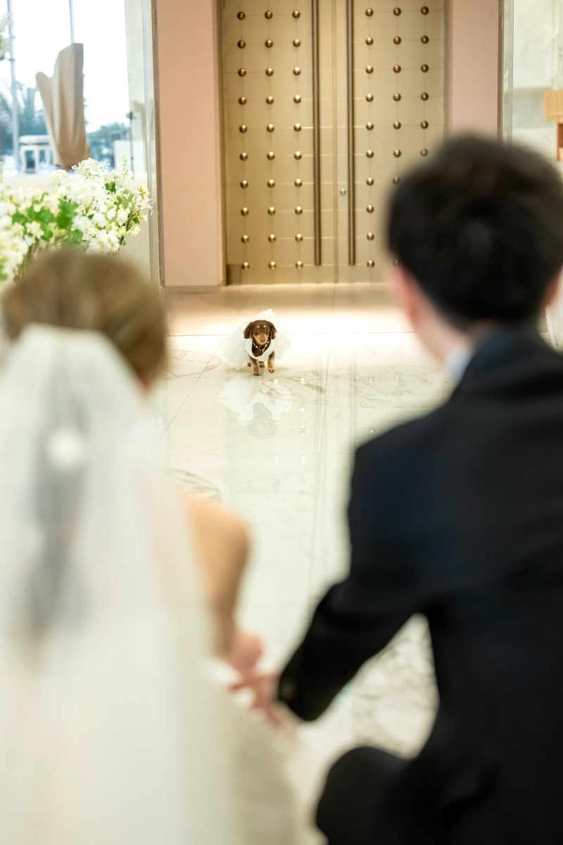 愛犬を見つめるふたりの時間