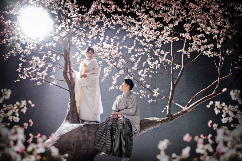 桜に寄り添うおふたり