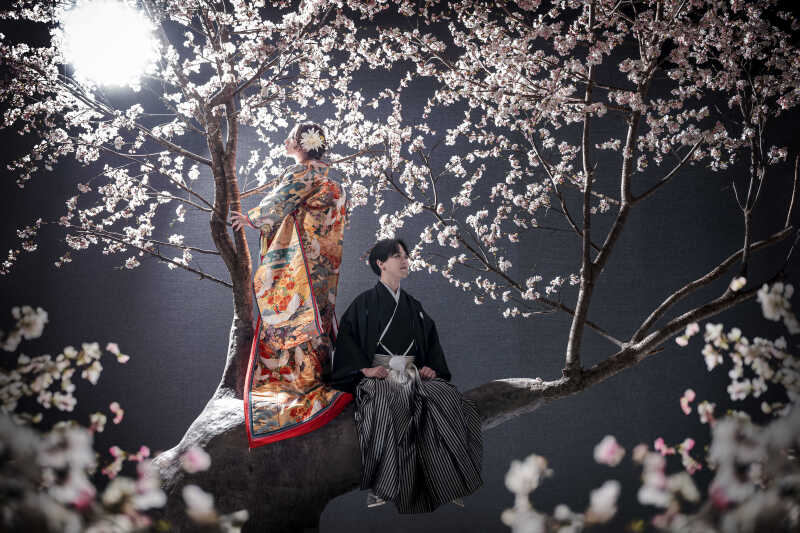 桜×和装 画になる1枚