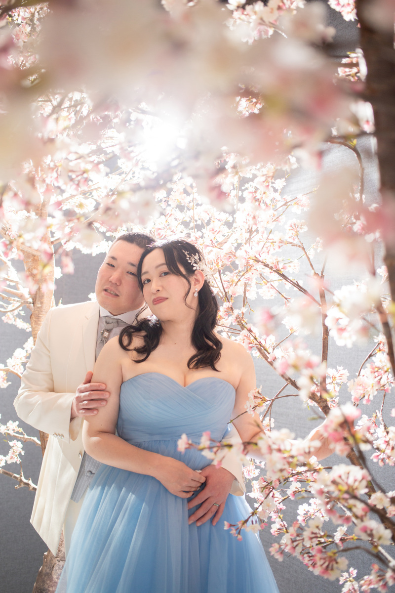 一面の桜×寄り添いショット