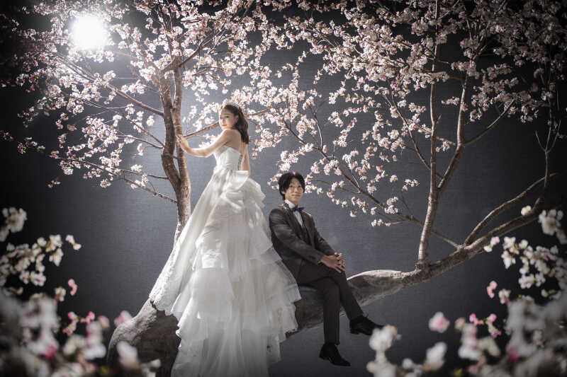 【桜】ドレストレーンも美しいバックショット