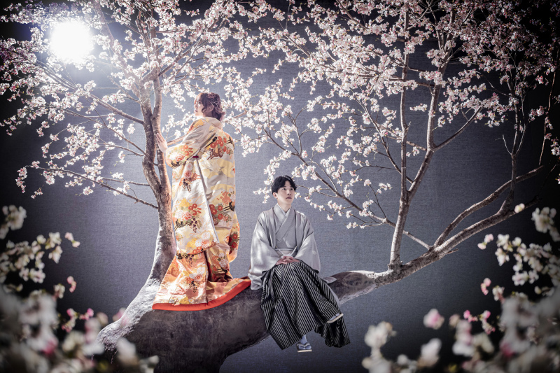 凛とした立ち姿が美しい@桜 シーン