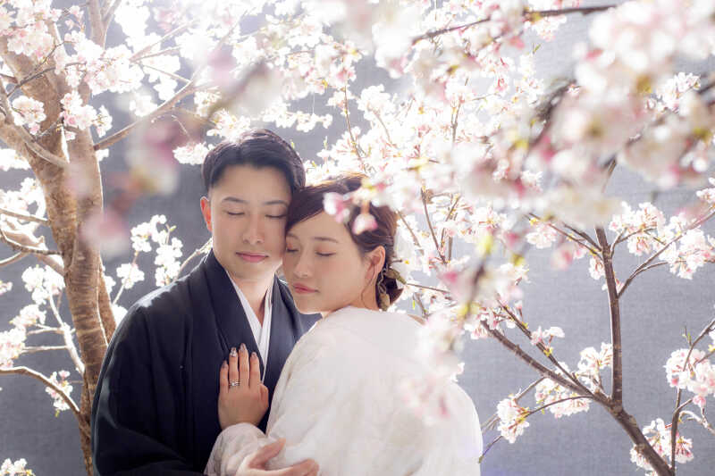 満開の桜に包まれて✿