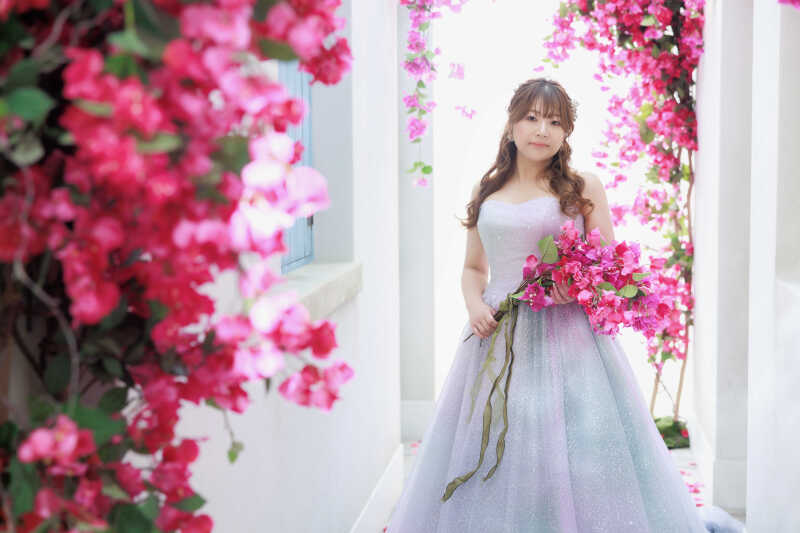 ブーゲンビリアストリート:ソロショット