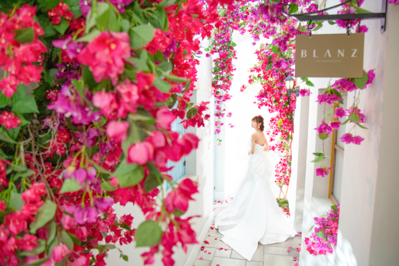 【ブーゲンビリア】振り返りショット