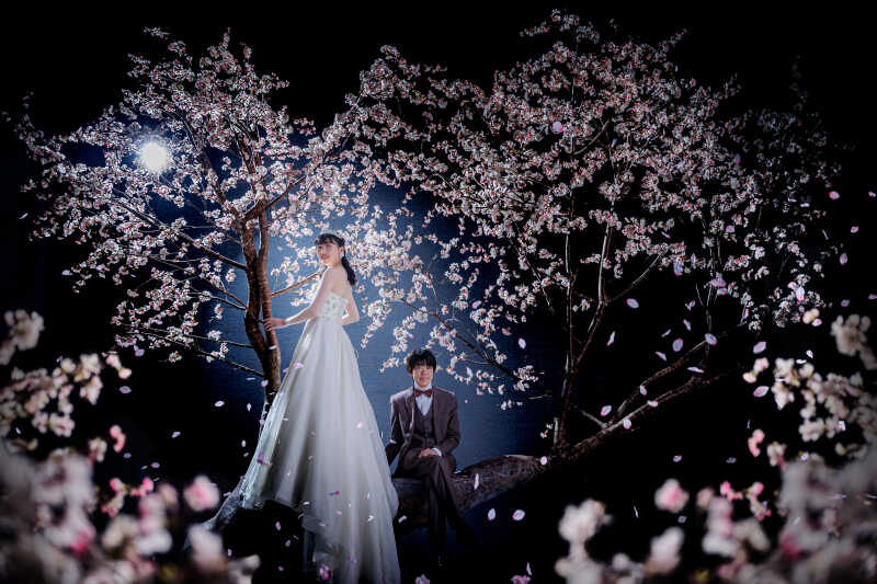 夜桜に包まれて。夢の中のような幻想フォト✿