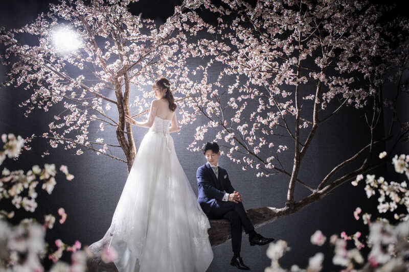 【桜】ご新婦様バックショット