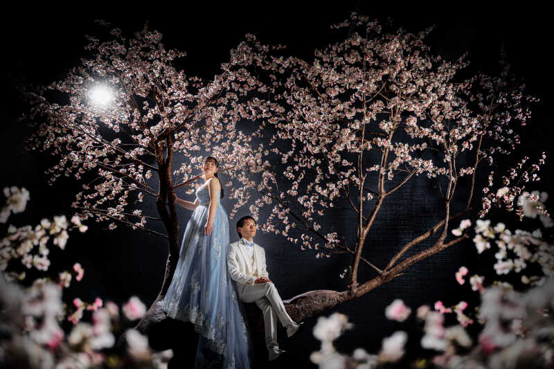 桜の下で誓う、未来へのまなざし。