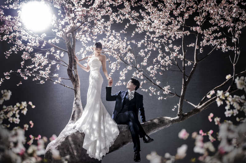 ✿大きな桜の木の上で✿