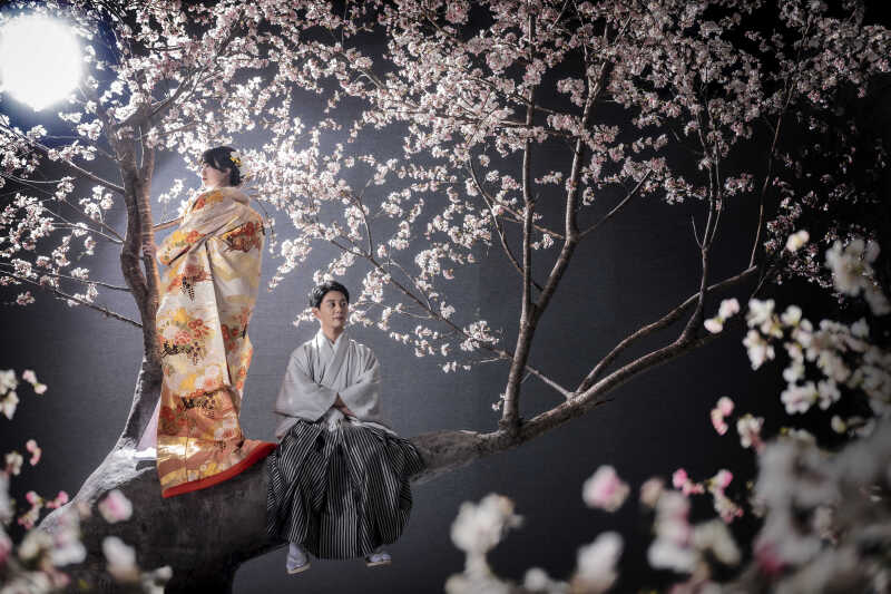 夜桜に包まれて、幻想的なひととき