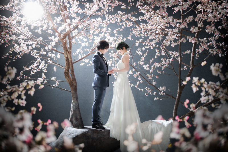 【桜】手繋ぎショット