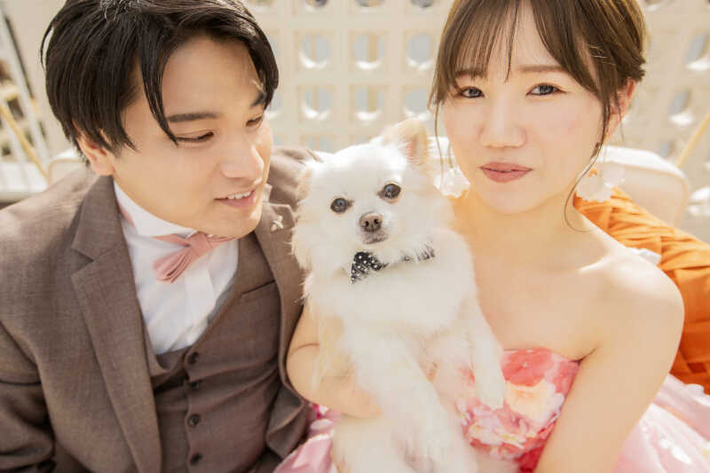 大切な家族 ワンちゃんと一緒に