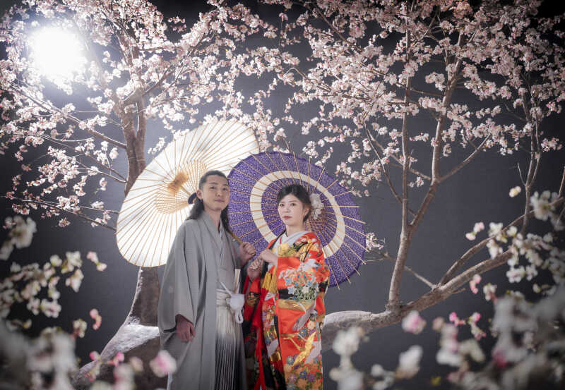 荘厳な桜を背景に