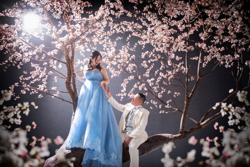 満開の桜に囲まれて…