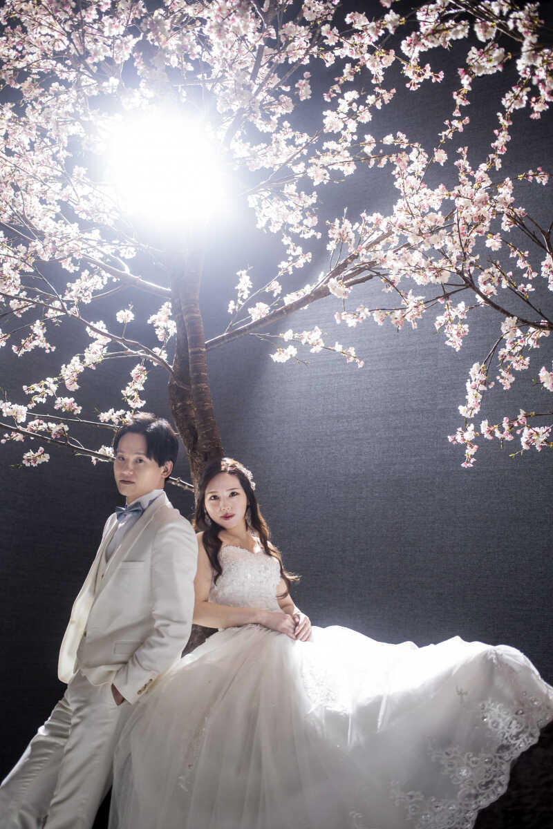 クールな「桜」シーンでの別アングルショット