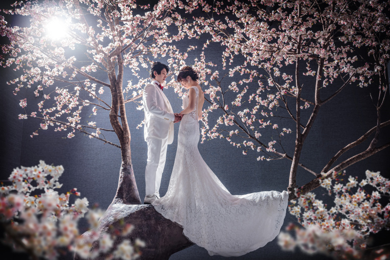 桜に囲まれる…幻想的な1枚