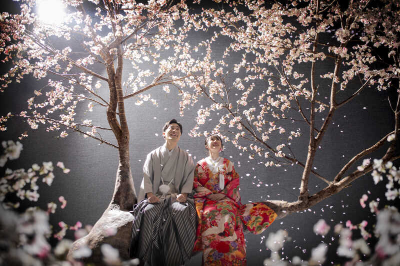 【桜】お座りショット