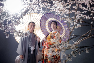 桜&times;和装&times;ドレス　全部叶うフォトウェディング