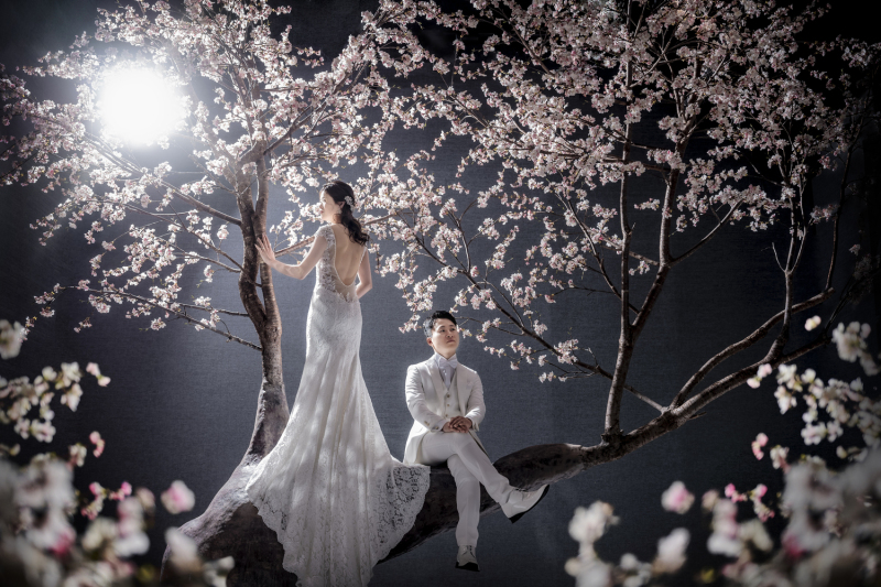 【桜】ドラマティックフォト