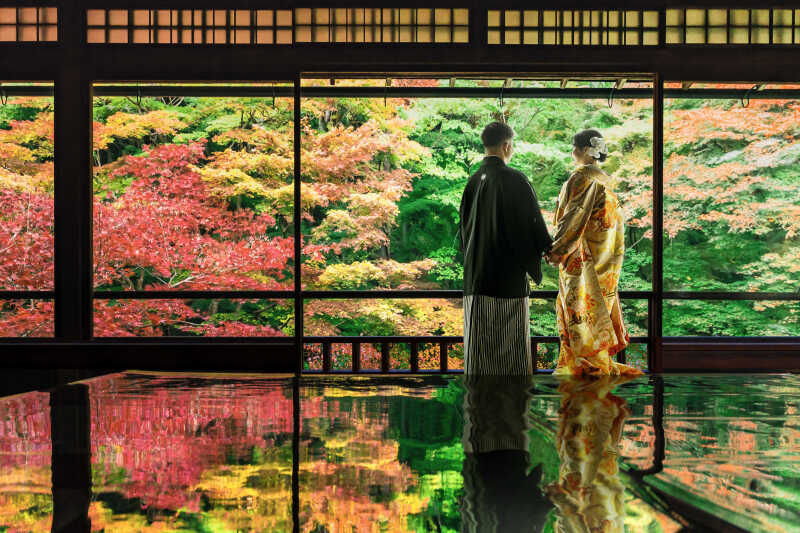 壮大な紅葉とふたりきりの空間