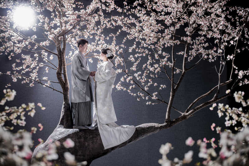 和装+ドレス2着!ご家族も、お揃いのユニフォームも!盛りだくさん大満足フォト♪