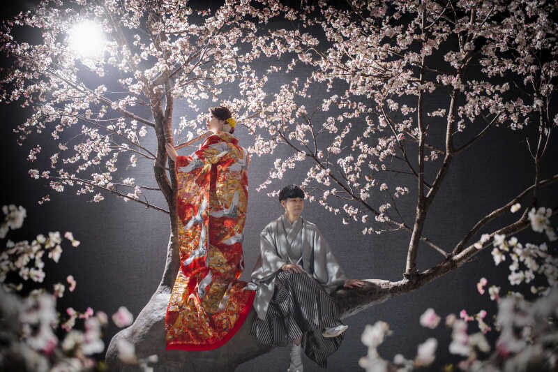【桜】煌びやかな和装全身ショット