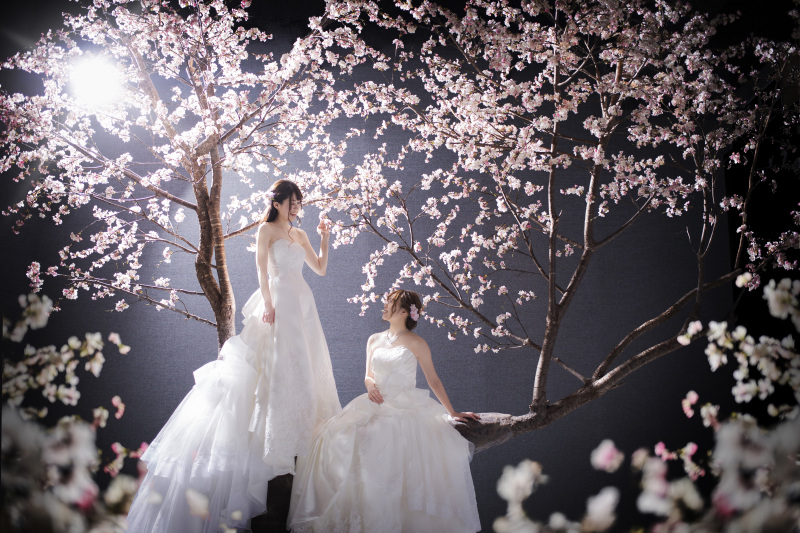 ふたりが夢に描いたショット…