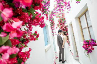 ブーゲンビリアストリート