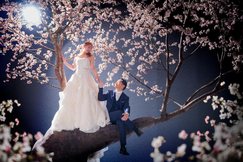 桜に包まれて叶えた、幻想的でロマンチックな一枚