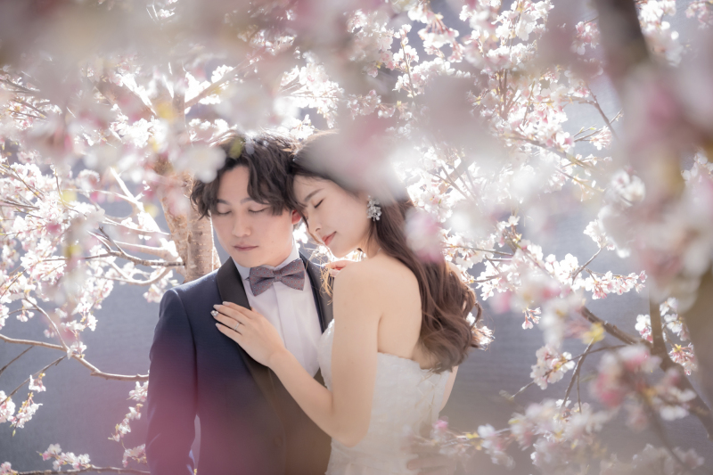 満開の桜に包まれる柔らかな表情が美しい♪