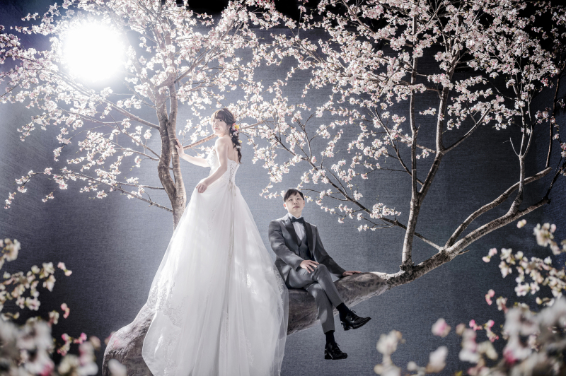 年中満開の桜と