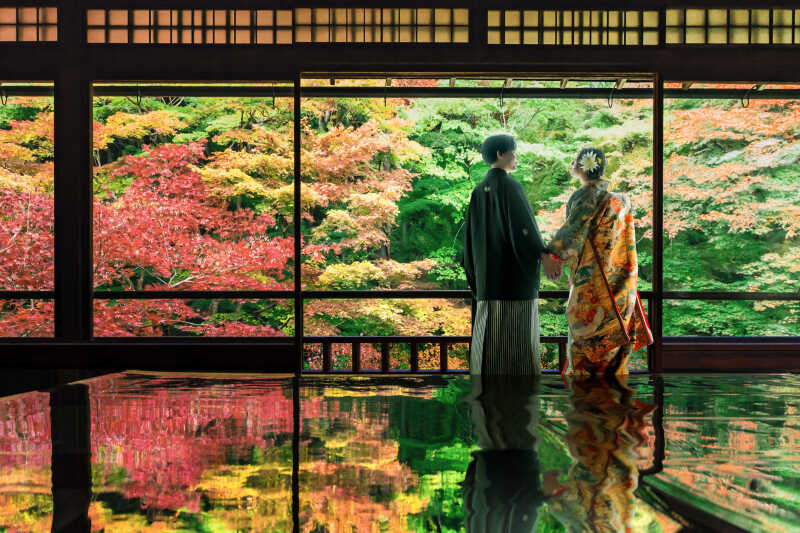 幻想的な背景は、実は…