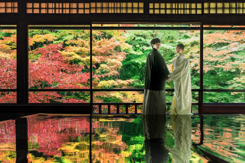 壮大な紅葉が描く特別なひととき