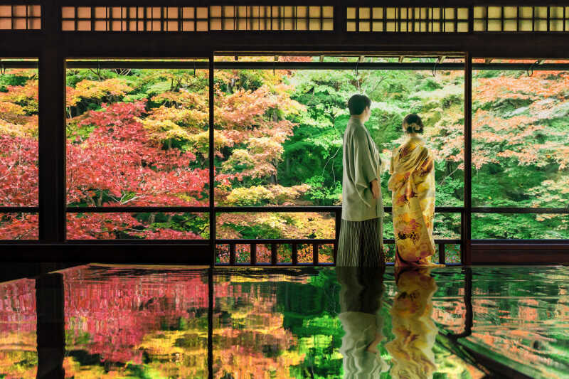 壮大な紅葉に包まれて