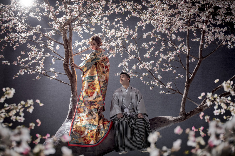 桜満開でよかったね。