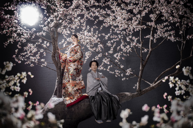 夜桜に包まれて、幻想的なひととき