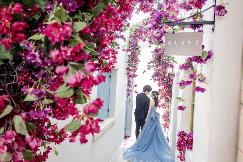 ✿咲き誇るブーゲンビリアに囲まれて✿