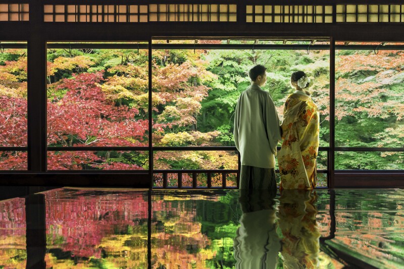 美しさ・可憐さ・厳かさ・・見る人を魅了!