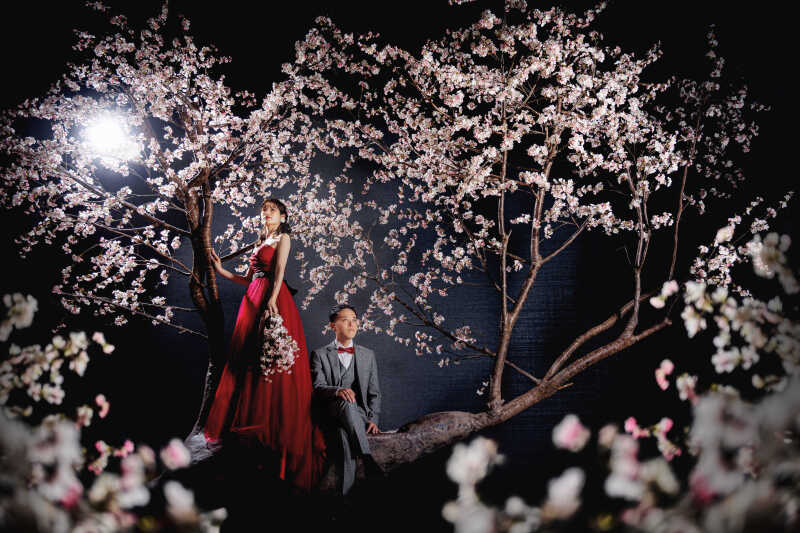 満開の桜に囲まれて